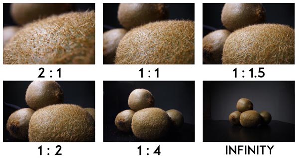 LAOWA(ラオワ)24mm F14 2X マクロプローブレンズ 対応マウント:ニコン F・Z/キャノン EF・RF/ソニー E/ペンタックス K